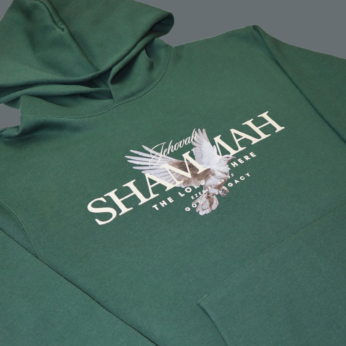 Jehovah Shammah Hoodie | Unisex Christian Heavyweight Hoodie | Bible Verse Faith Hoodie | God Is There Hoodie